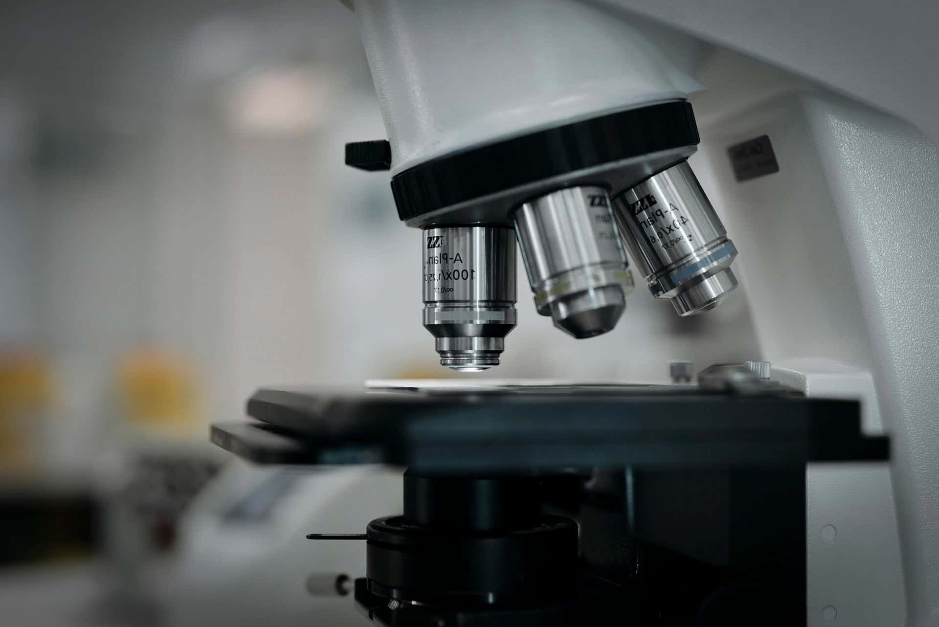 Future Scholars: Sciences at Oxford College