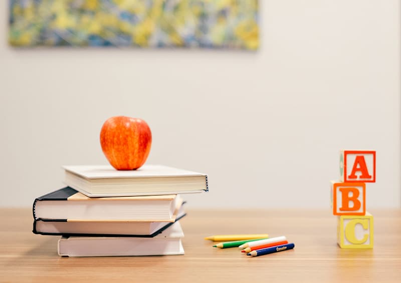 English Day Camps At UK Boarding Schools Ages 6–12