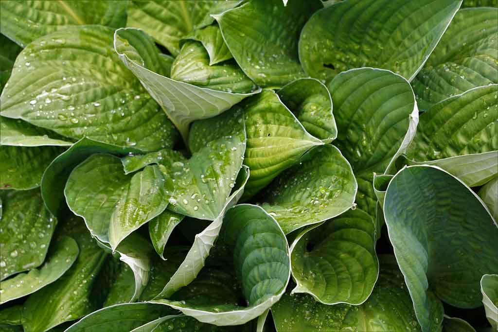 Browse Biology Summer Courses