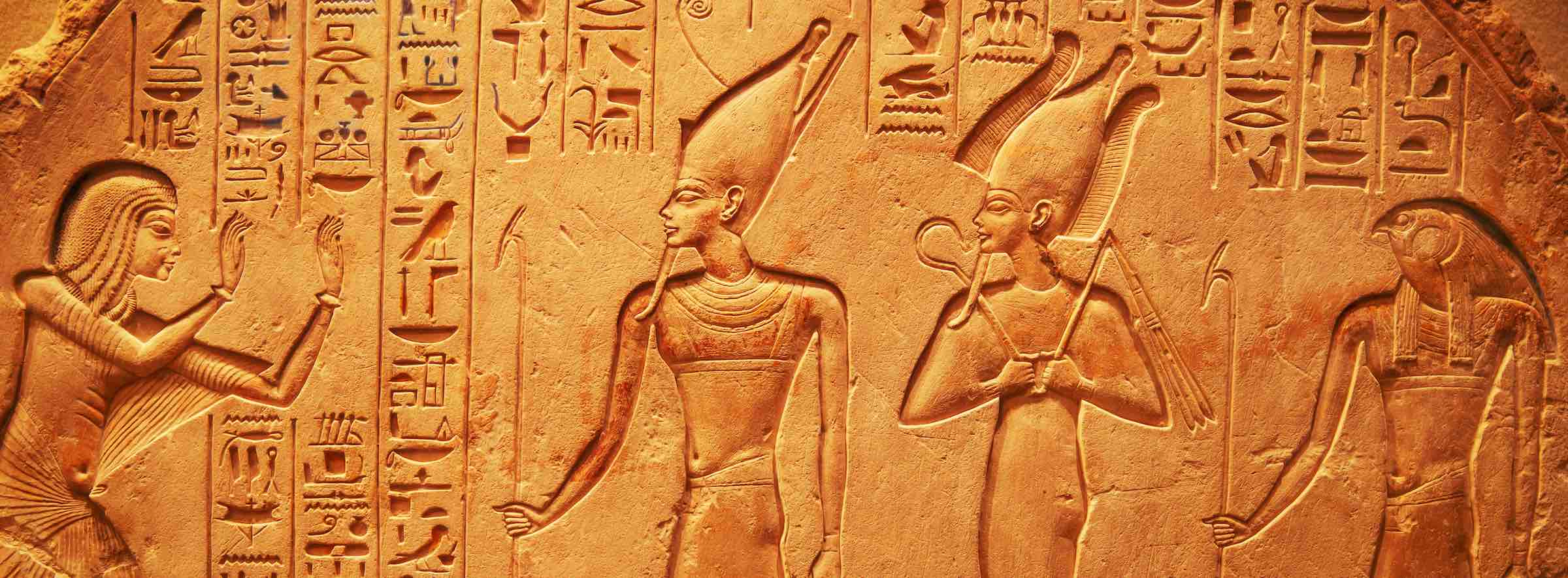 Browse History Summer Courses