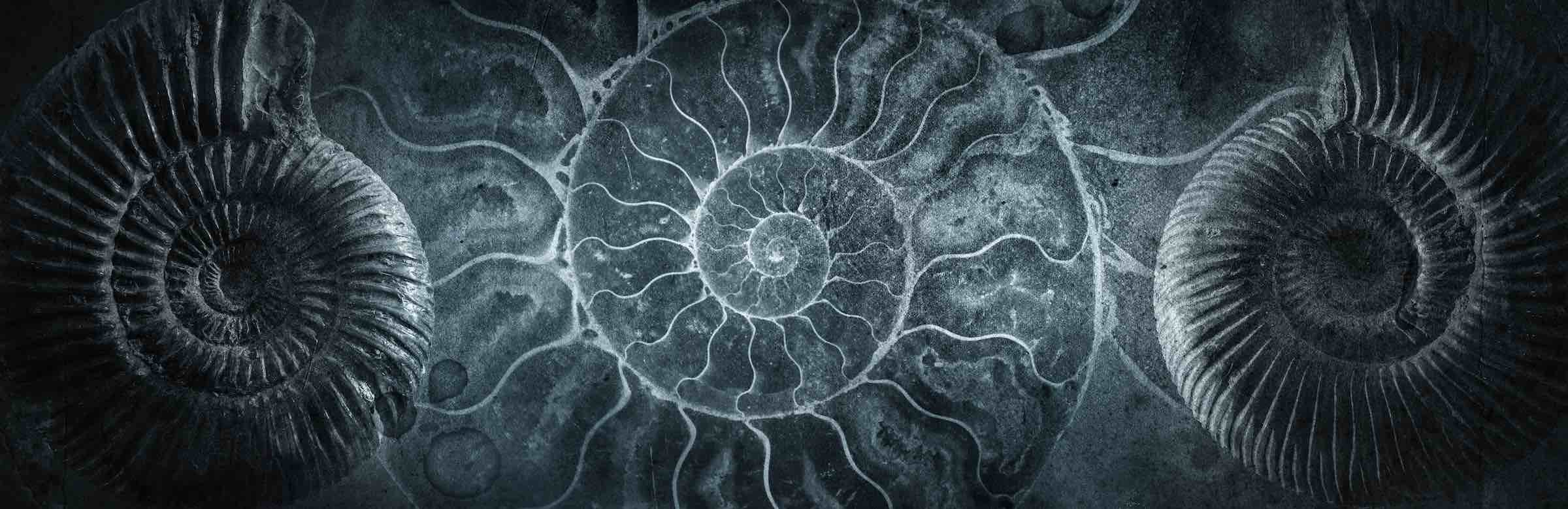 Browse Natural Sciences Summer Courses