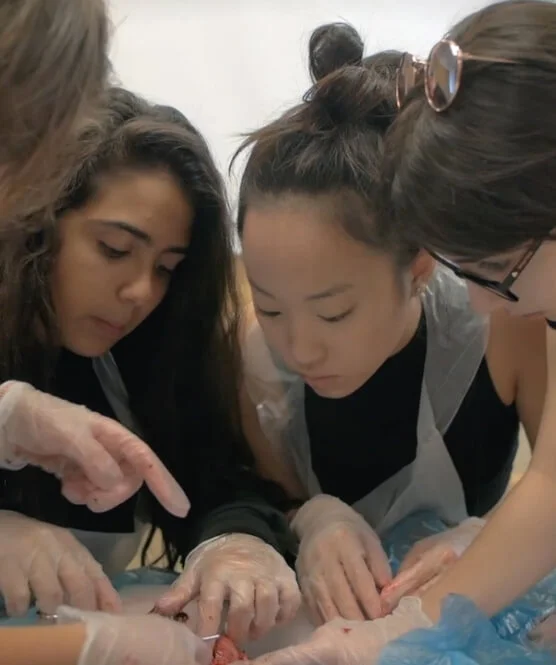 Experience Medicine Academy