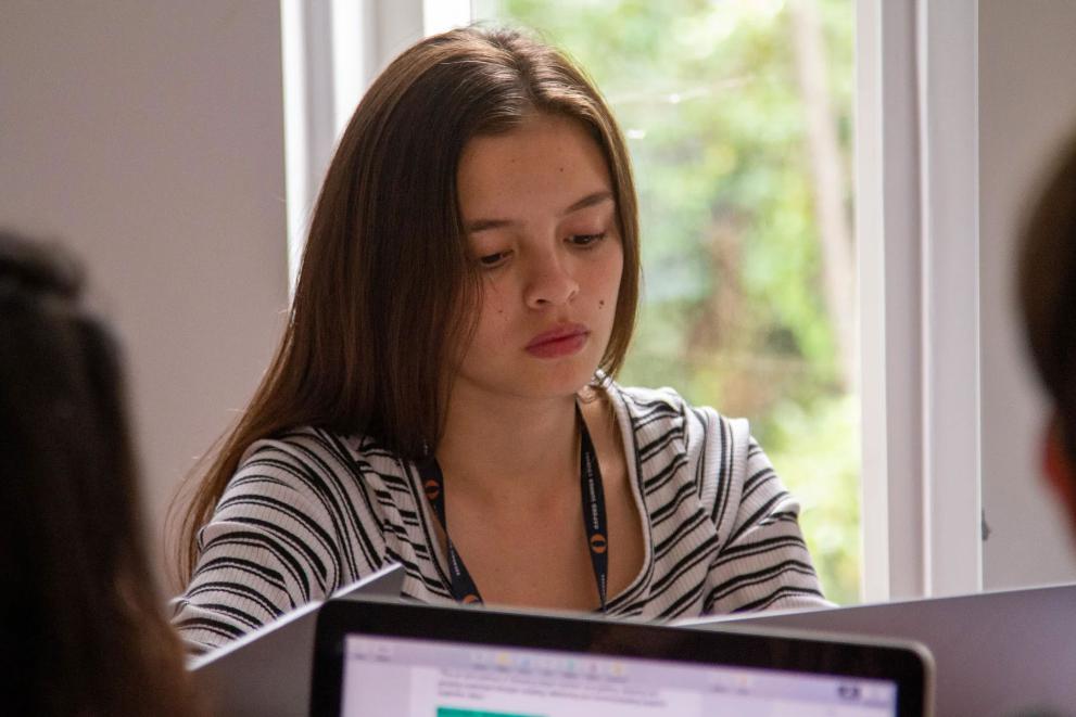 Mathematics (16-17 years old)