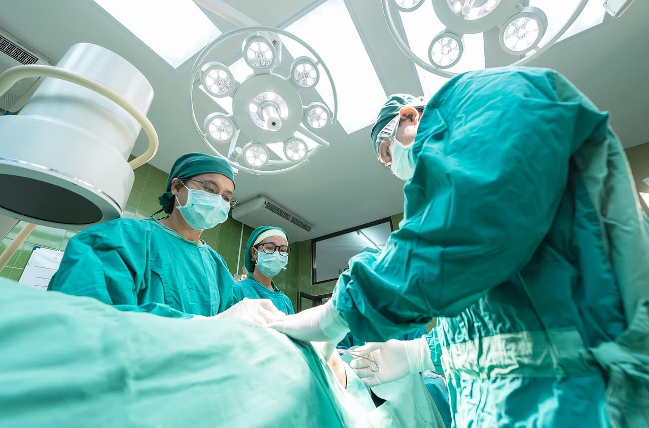 Curious About A Medical Career From Curiosity To Care Medicine Summer Schools 2026 For Kids Teens And Parents
