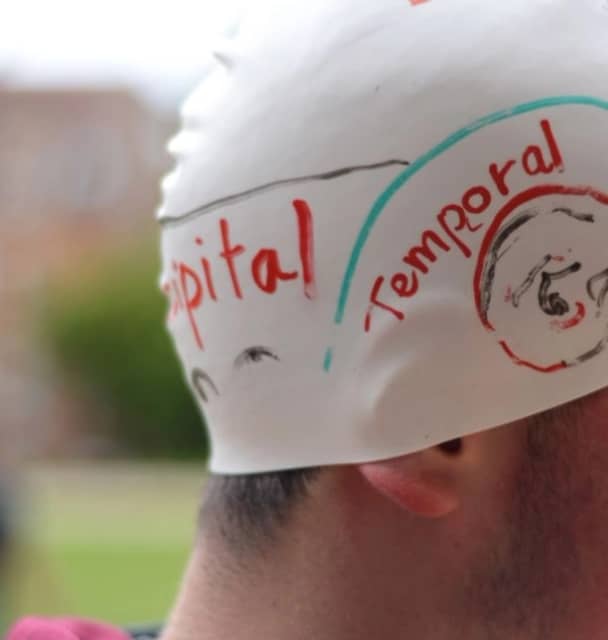 Experimental Psychology Summer in Cambridge Ages 16–18