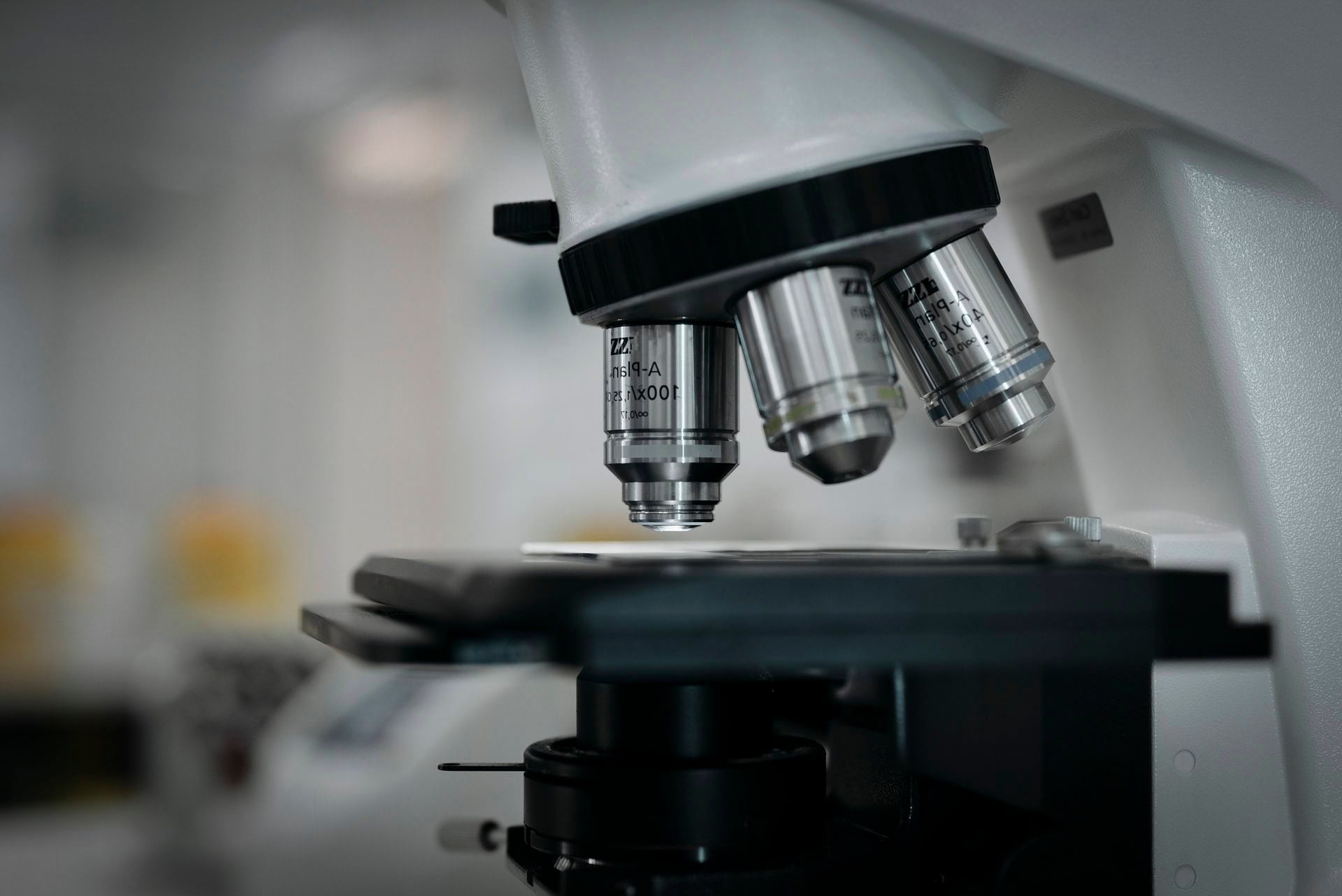 Future Scholars: Sciences at Oxford College