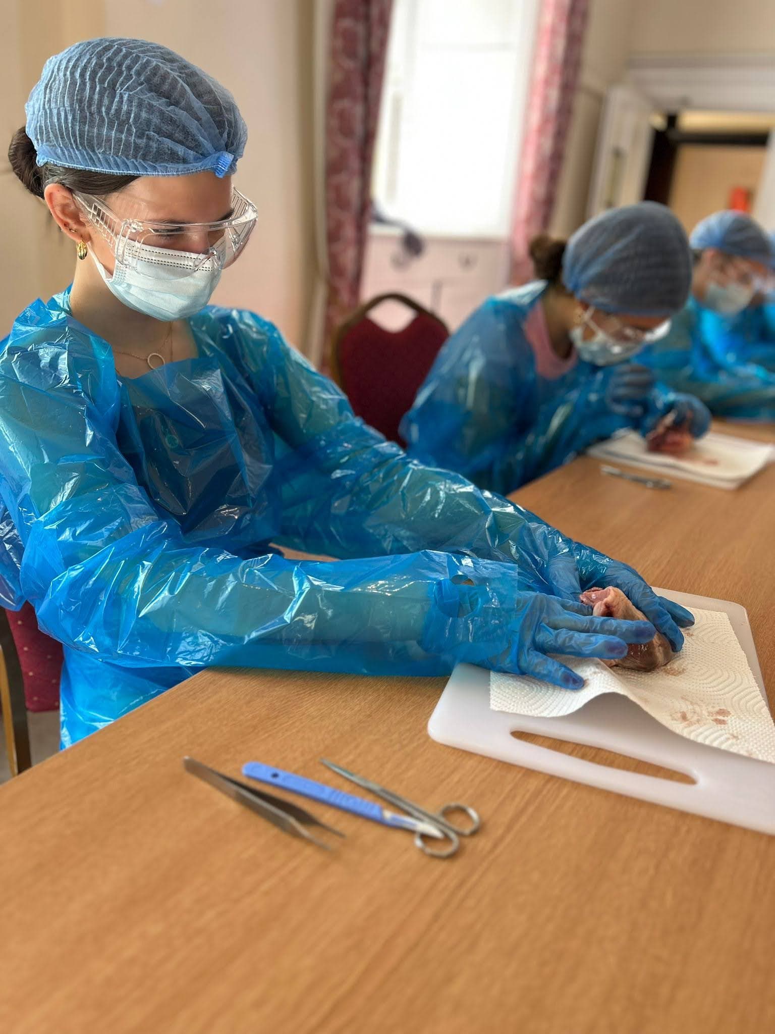 Medicine: The Oxford Experience for Ages 13–15