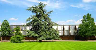 St Catherine’s College, a host campus for summer courses