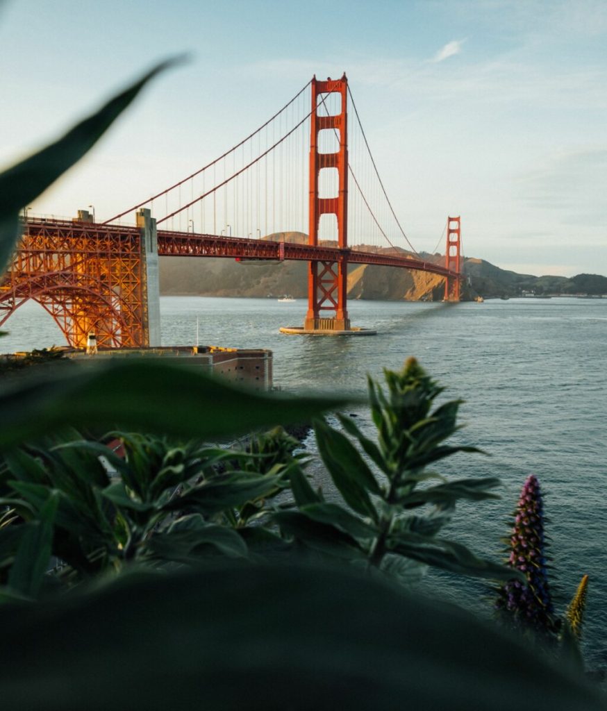 Silicon Valley Summer School in San Francisco summer school
