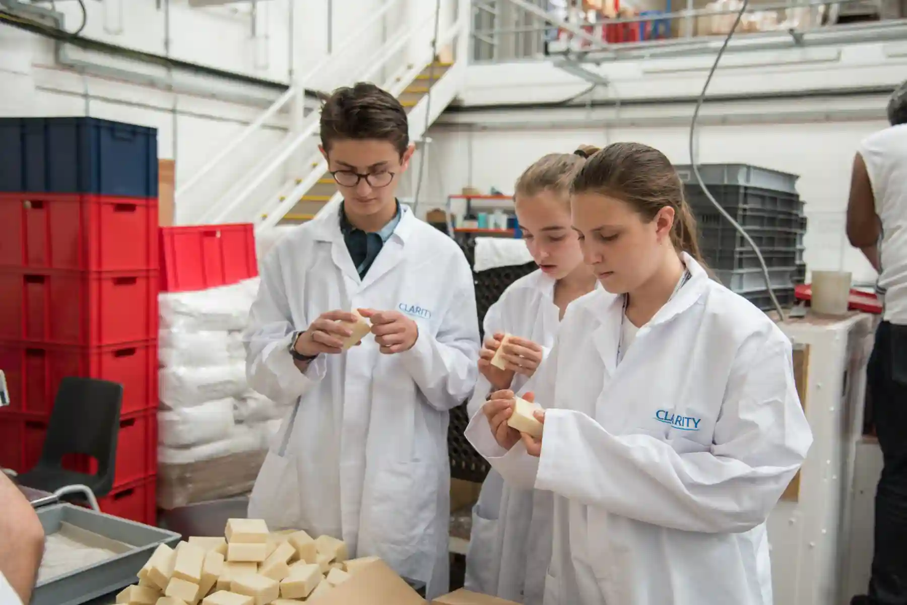 Biotechnology and Genetics (13-15 years old)